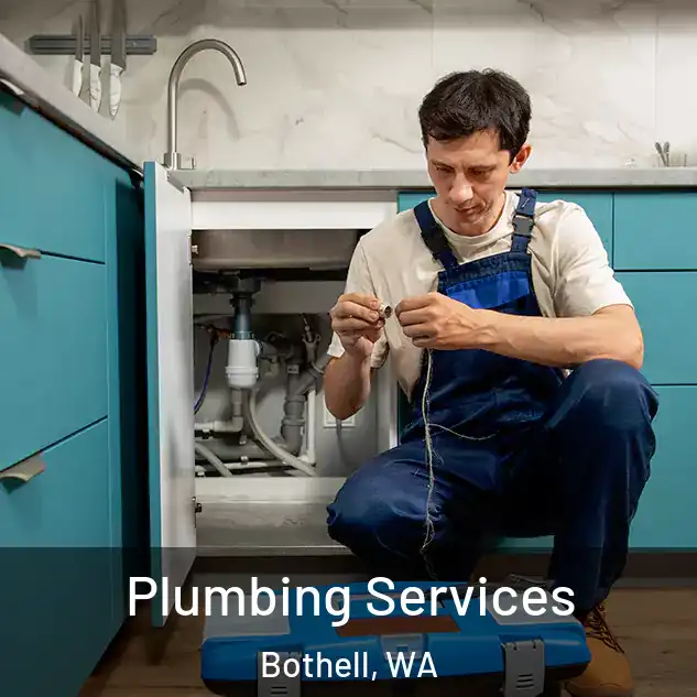 Plumbing Services Bothell, WA