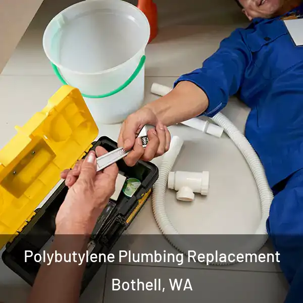  Polybutylene Plumbing Replacement Bothell, WA