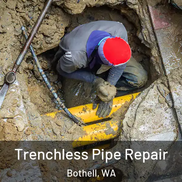  Trenchless Pipe Repair Bothell, WA